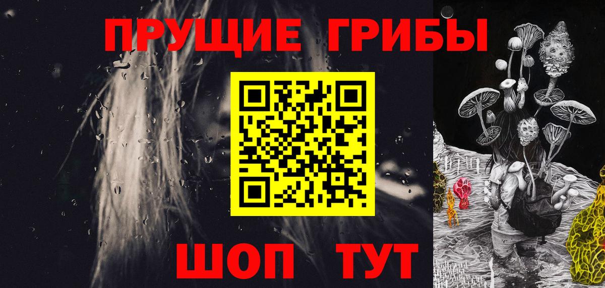 сколько стоит  Вход с VPN  Горно-Алтайск  Галлюциногенные грибы Cubensis 