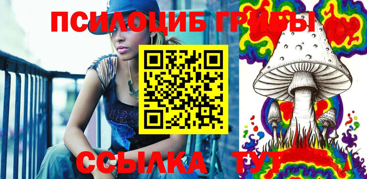 Галлюциногенные грибы Cubensis Горно-Алтайск
